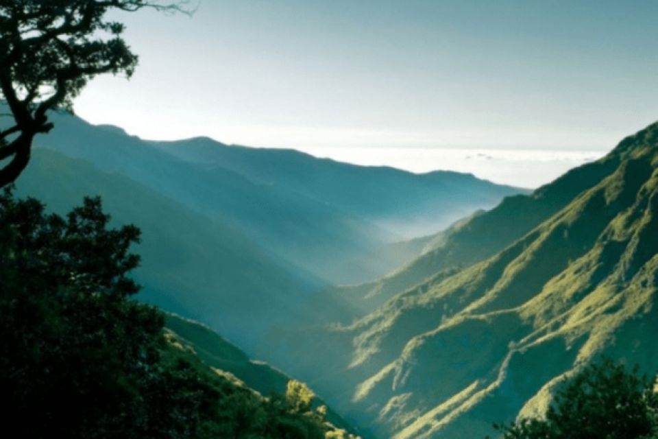 Madeira : Walking Tour-Rabaçal /25 Fontes - Your day at a glance: pickup, 4 hours of walking, back by 17:00