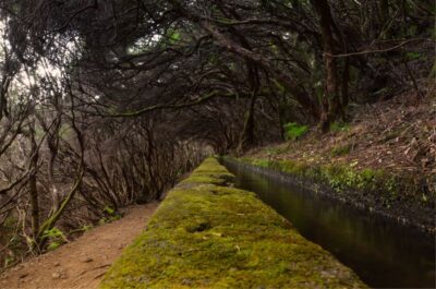 Madeira Walks - Rabaçal and the 25 Fountains - Pickup and getting to Rabaçal without wasting your day