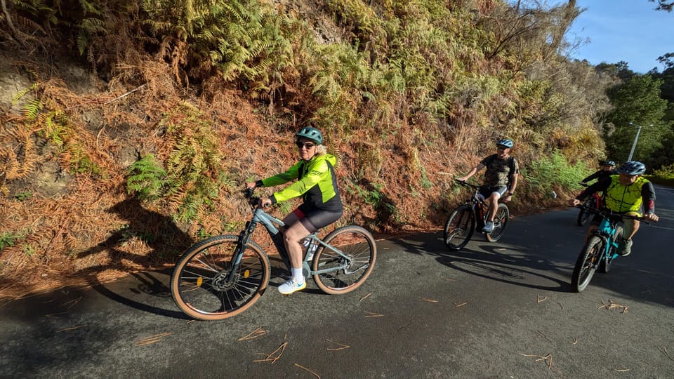 Madeira West coast: Guided Sightseeing E-Bike Tour - Miradouro do Fio: the westmost viewpoint you’ll remember