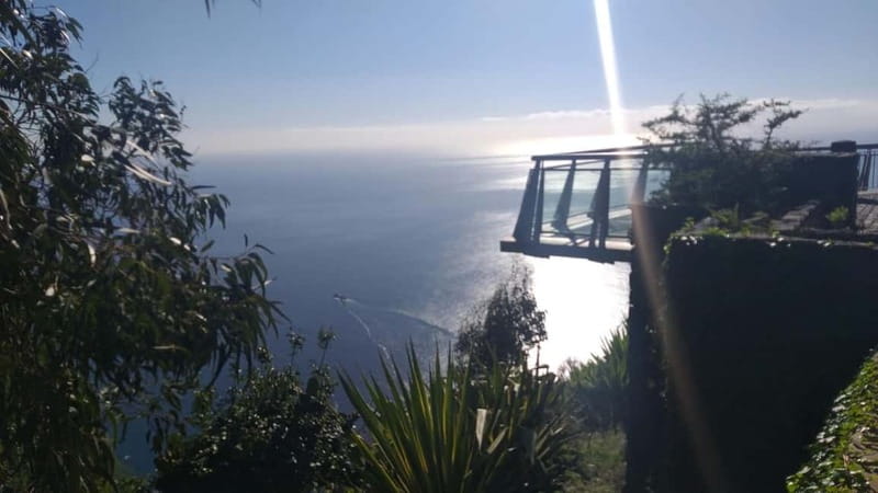 Madeira West Island Full-Day Tour with Fanal Forest - Price and value: why it can be a bargain, and when it’s not
