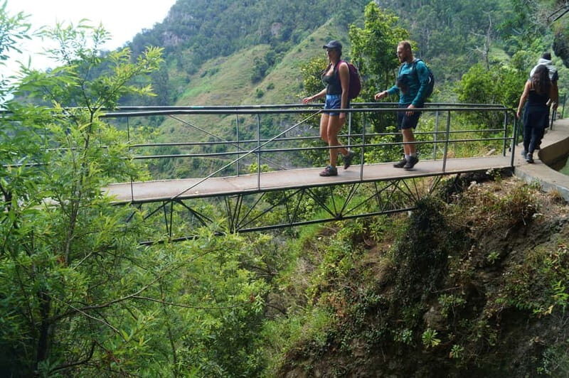 Madeira: Wet your hair in the amazing Levada Nova / Moinhos - What makes the Moinhos levada such a memorable Madeira walk