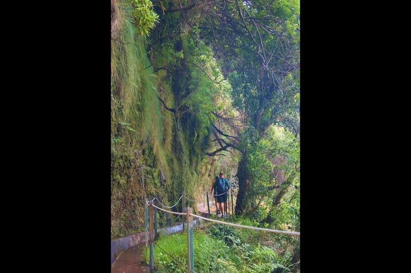 Madeira: Wet your hair in the amazing Levada Nova / Moinhos - On the trail: levada steps, waterfalls, and the side-hill reality