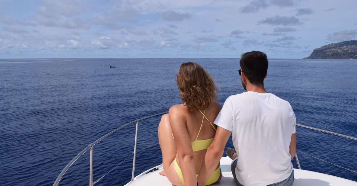 Madeira: Whale and Dolphin Watching Private Cruise - Your Yacht Experience: Cabin, Restroom, Sundeck, and Real Shade