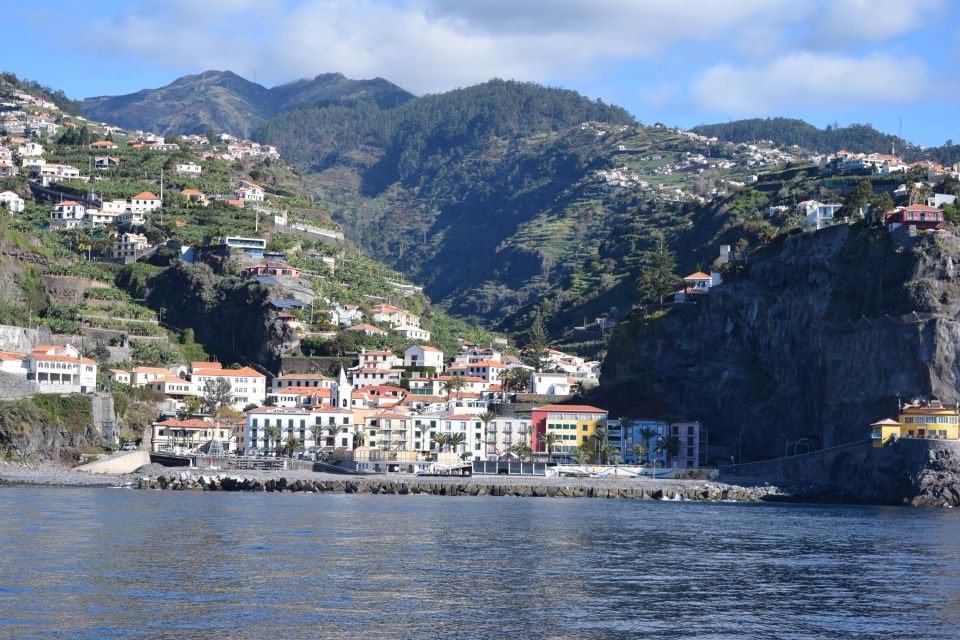 Madeira: Whale and Dolphin Watching Private Cruise - Price and Value: How $577 Per Group Works in Real Life