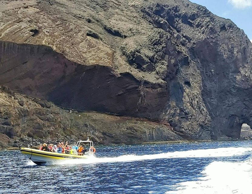 Madeira: Whale and Dolphin Watching Tour - Summer bonus: snorkeling and swimming at Ponta de São Lourenço
