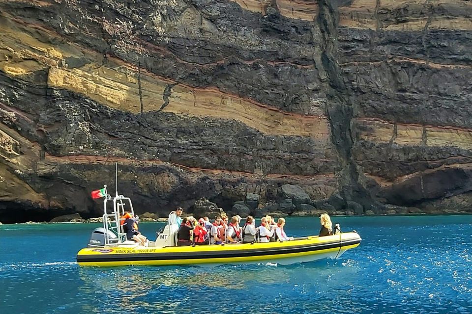 Madeira: Whale and Dolphin Watching Tour - Price and logistics: is $70 for 2 hours good value?