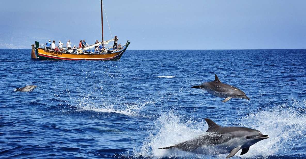 Madeira: Whale Watching Excursion in a Traditional Vessel - Key Highlights You’ll Care About
