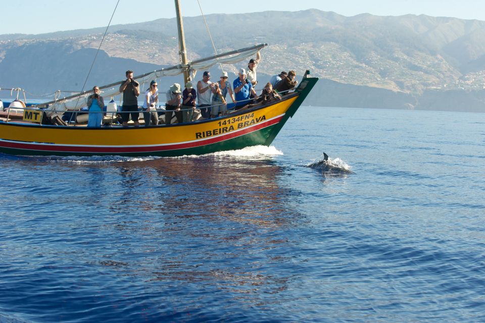 Madeira: Whale Watching Excursion in a Traditional Vessel - Expert Guides in English or German Make Spotting Easier