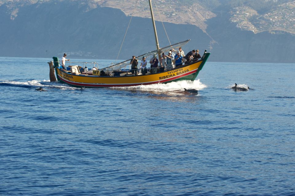Madeira: Whale Watching Excursion in a Traditional Vessel - Madeira Coastline From the Sea Is the Bonus You Don’t Want to Miss