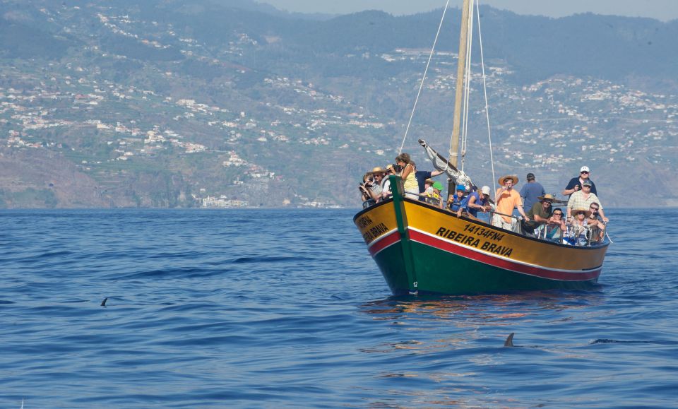 Madeira: Whale Watching Excursion in a Traditional Vessel - Who This Madeira Whale Watching Trip Fits Best