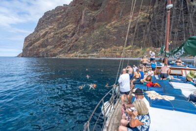 Madeira : Whales and Dolphins wooden boat excursion - Price and value: why $41 feels fair (or not)