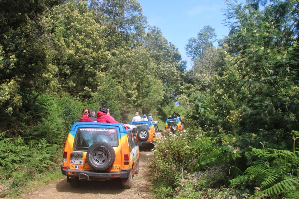 Madeira: Wine & Tapas, Cabo Girão Skywalk 4x4 Jeep Adventure - The road trip stops: Ribeira Brava, Serra de Água, and the tunnel views