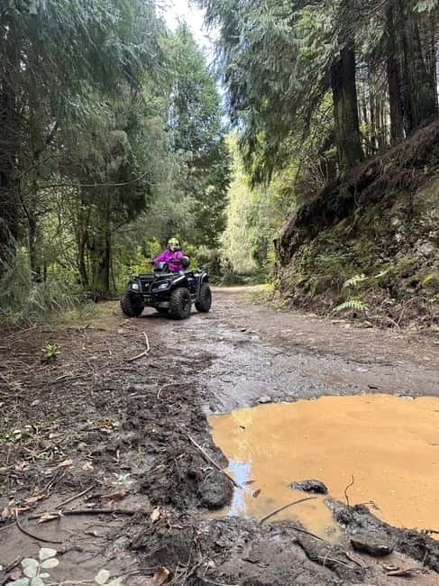 Madeira:Private Mountain Quad Adventure–Explore Wild Madeira - Into the UNESCO laurel forest: why this ride is more than a viewpoint hop