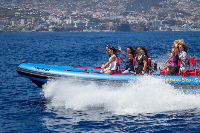 Magic Dolphin Sea Safaris - Key things that make this safari work