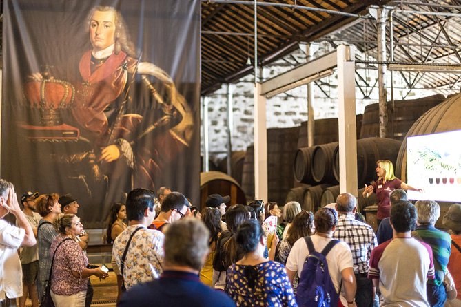 MagicTrain Tour and Port Wine Cellar Visit & Tasting - A Smart Combo: Porto Sights + Port Wine at One Price