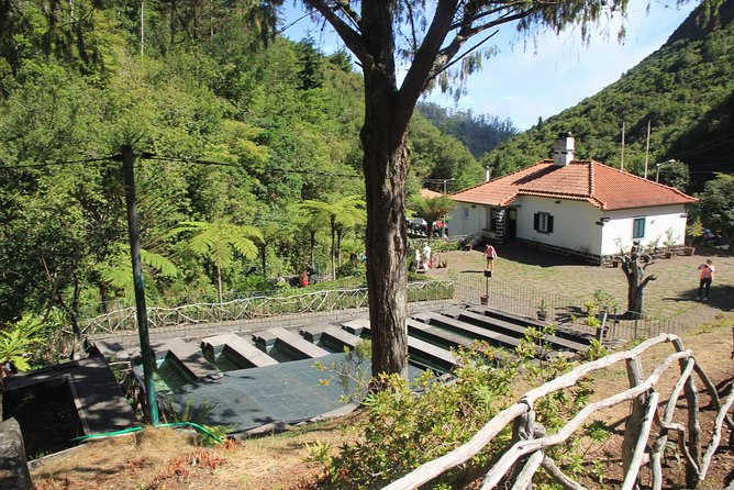 Magnificent East Tour - Ponta de São Lourenço: the wildlife and plant-spotting stop