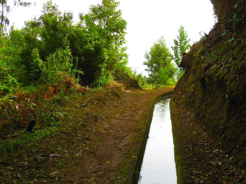 Maroços / Mimosa Valley - Levada Walk - Key things to know before you go