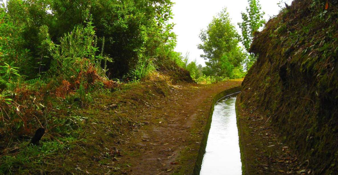 Maroços / Mimosa Valley - Levada Walk - Agricultural path watching: what you’ll notice besides the view