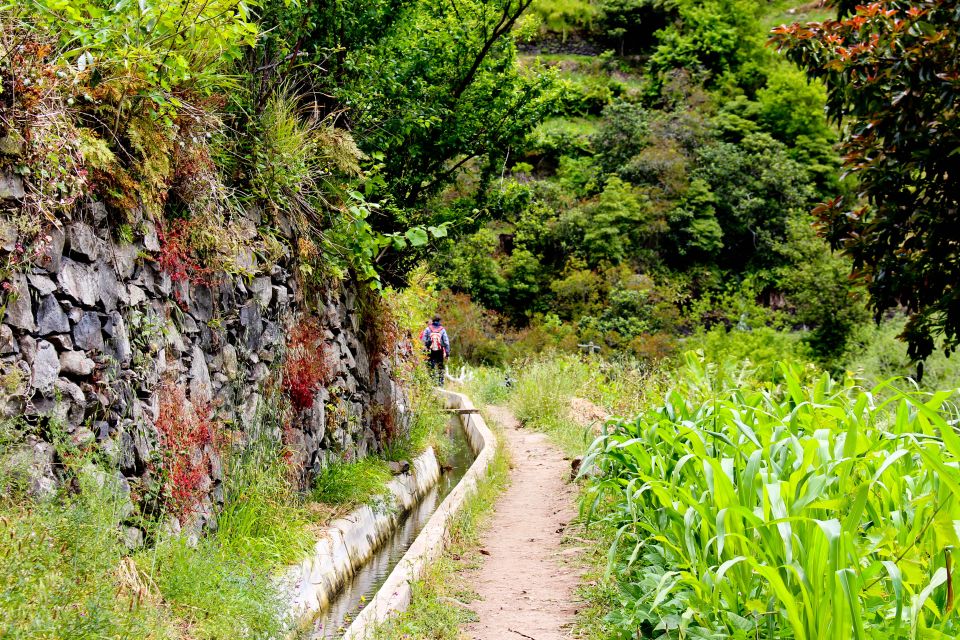 Maroços / Mimosa Valley - Levada Walk - Should you book Maroços / Mimosa Valley – Levada Walk?