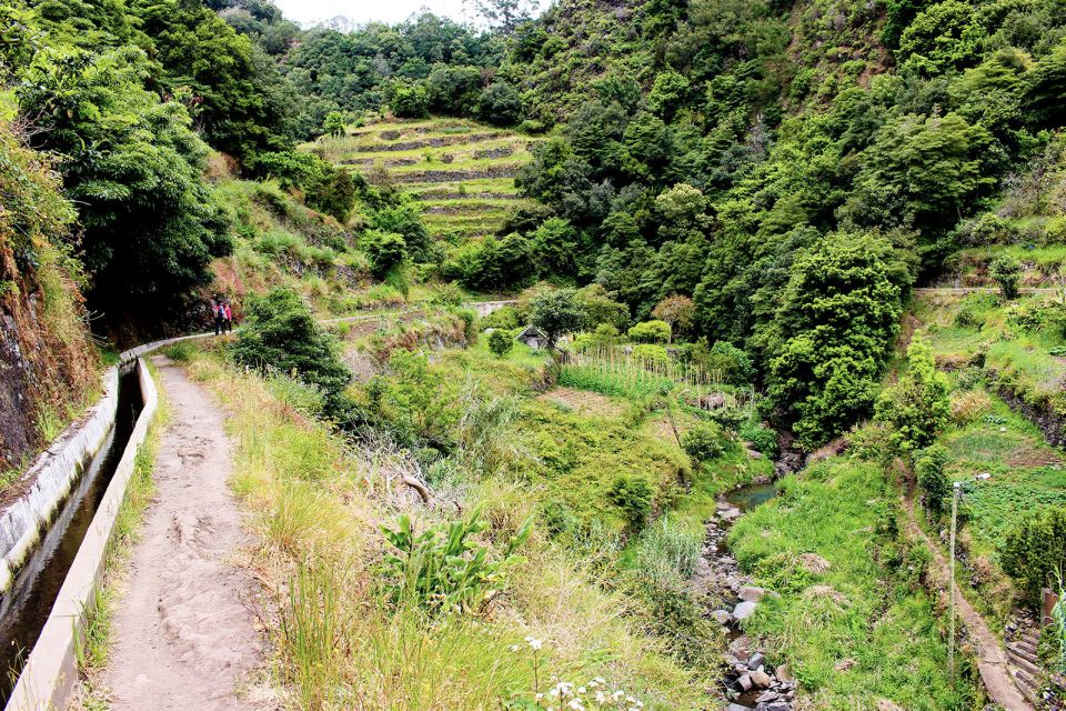 Maroços / Mimosa Valley - Levada Walk - The 4-hour flow: from pickup to Machico views