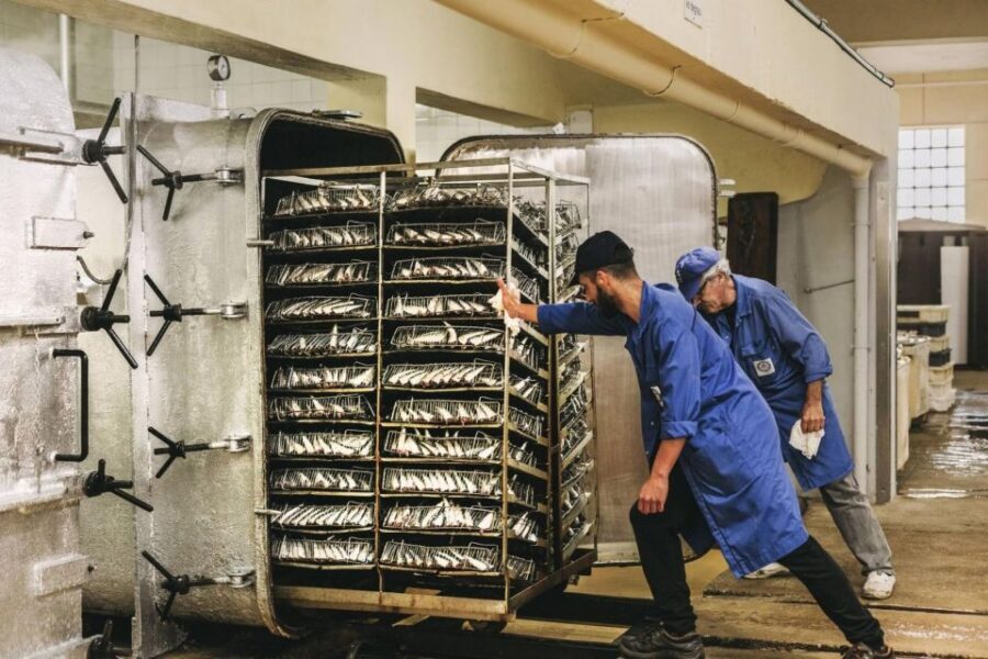 Matosinhos: Conservas Pinhais Factory Tour - Matosinhos sardines, made the old-school way