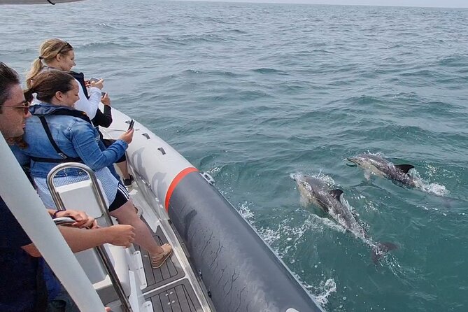 Meet the Lisbon Dolphins - Dolphin Watching in Lisbon - Where you start under the bridge at Doca de Santo Amaro