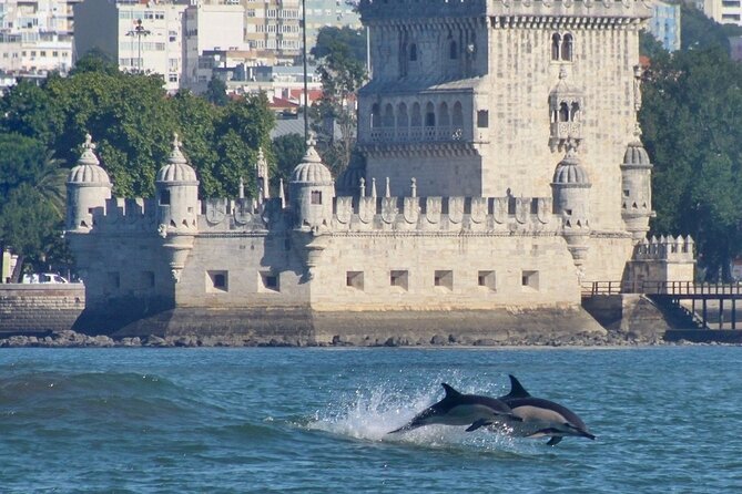 Meet the Lisbon Dolphins - Dolphin Watching in Lisbon - The “keep searching” plan, including the extra hour