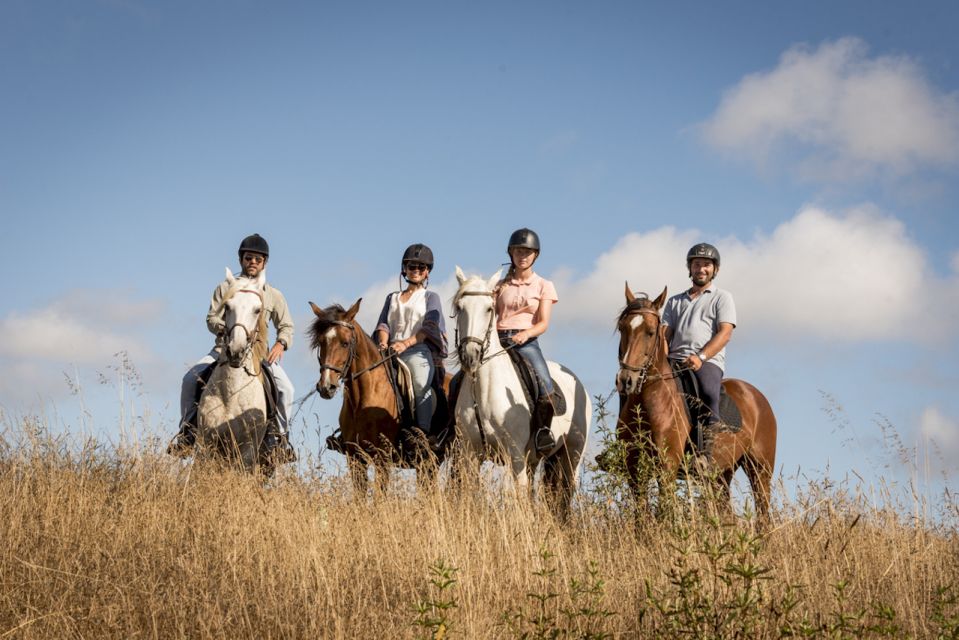 Melides: Horse Riding on the Beach with Wine Tasting - The First Move: Horses, Sea Air, and a Protected Coast Start