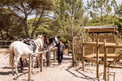 Melides: Horse Riding on the Beach with Wine Tasting - Getting There and Finding the Spot Near Melides (No Guesswork Needed)