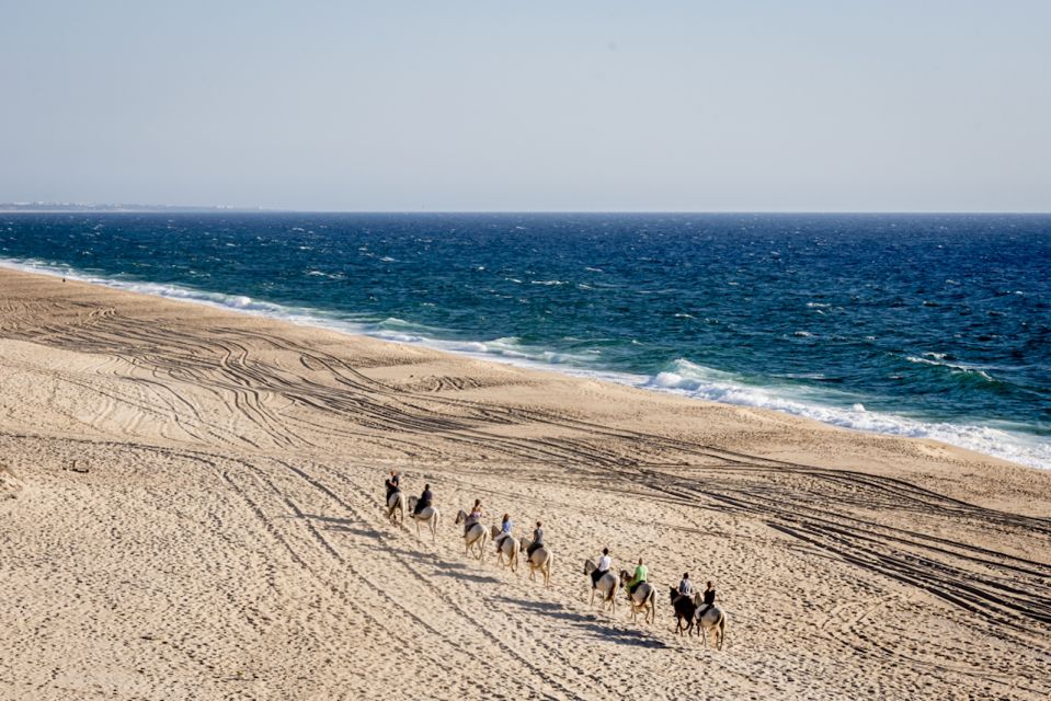 Melides: Horse Riding on the Beach with Wine Tasting - Optional Wine Tasting: What’s Promised vs What You Should Confirm