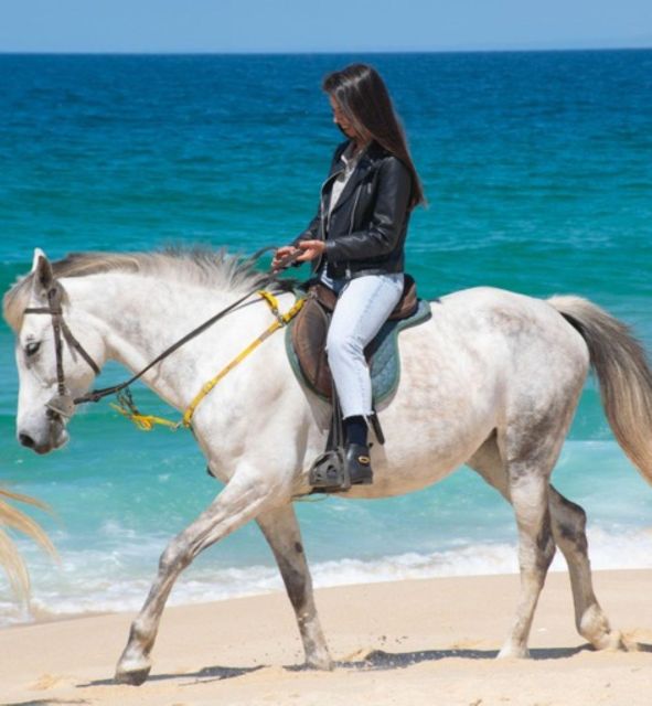 Melides: Horseback Riding on Melides Beach - Should you book the Melides Beach horseback ride with Horses by the Beach?