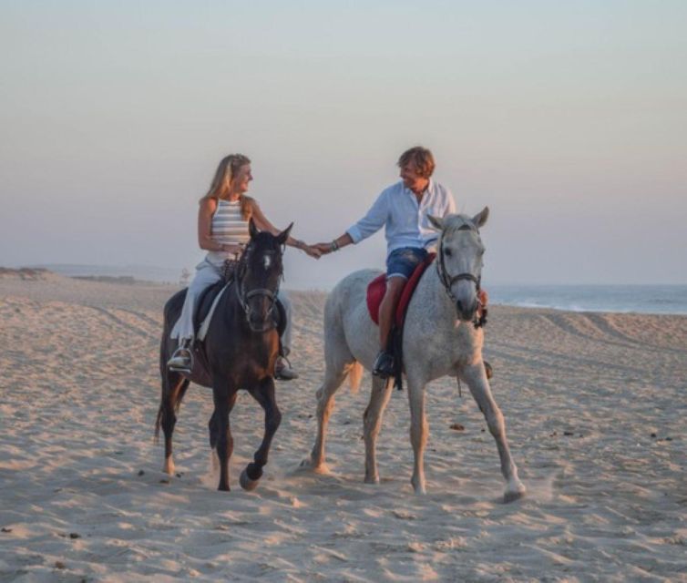 Melides: Horseback Riding on Melides Beach - Price and value: why $76 makes sense for what’s included