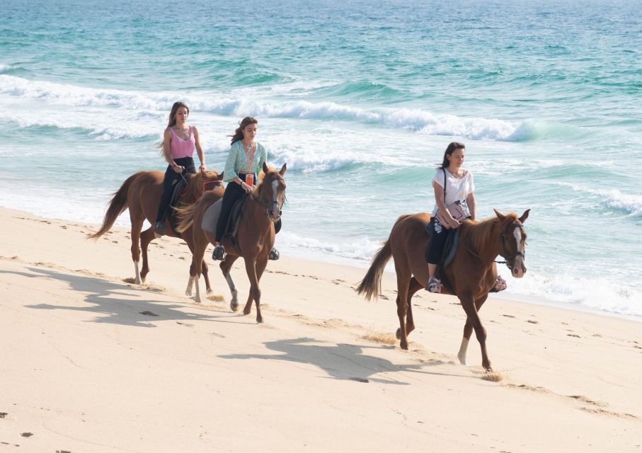 Melides: Horseback Riding on Melides Beach - Photography on the route: optional, usually easy to love