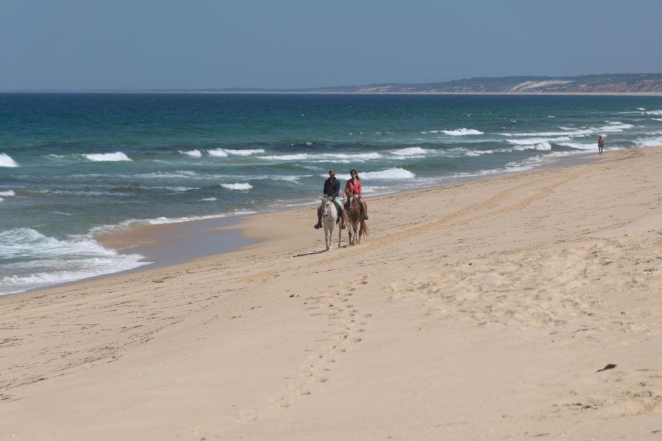 Melides: Horseback Riding on Melides Beach - Who this ride fits best (and who should skip it)