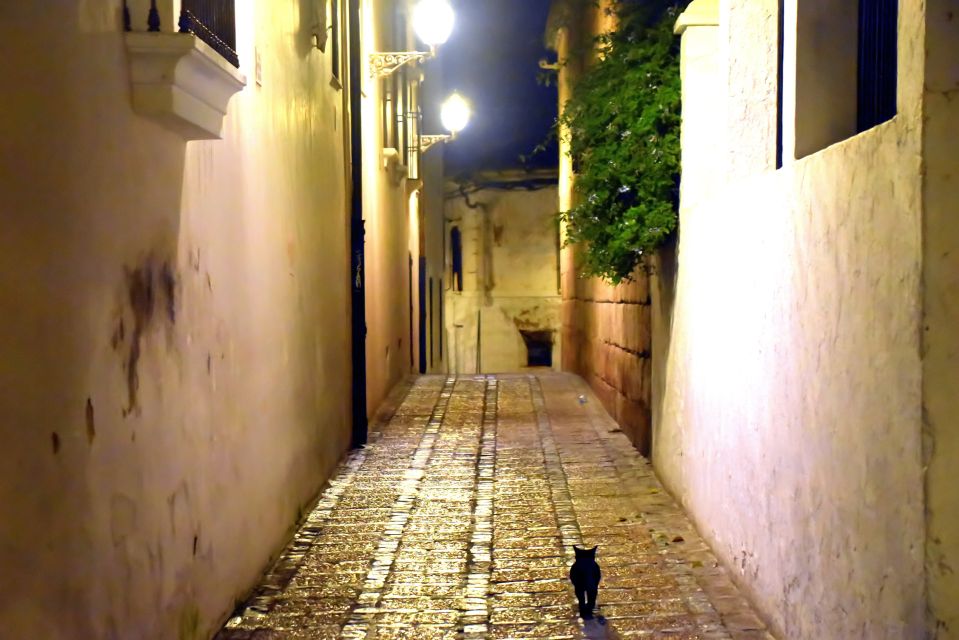 Merida: Legends and Mysteries Night Tour - What the guide brings: official historian + story delivery (Laura’s style in reviews)