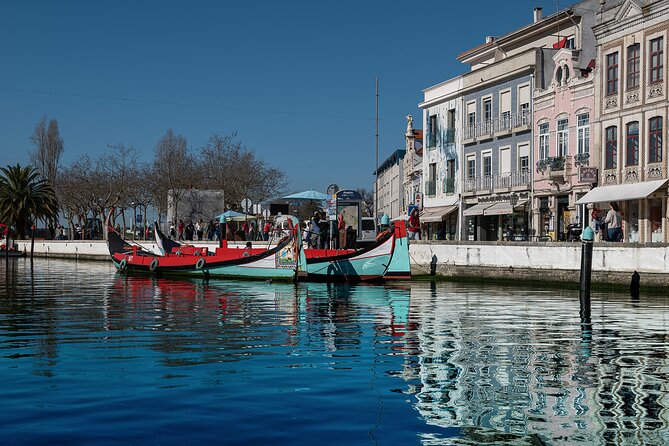 Moliceiro Boat Tour on the Ria de Aveiro - Moliceiro Boats: A Fast Way Into Aveiro’s Canal World