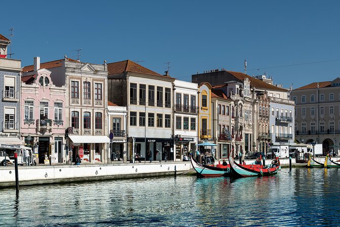 Moliceiro Boat Tour on the Ria de Aveiro - Entering The Ria de Aveiro: What the 45 Minutes Actually Feels Like