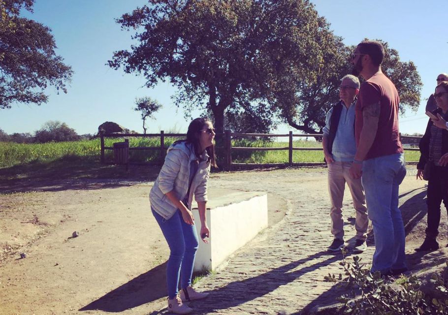 Monsaraz and Wine guided tour from Évora - Price and value: why $66 can actually feel fair