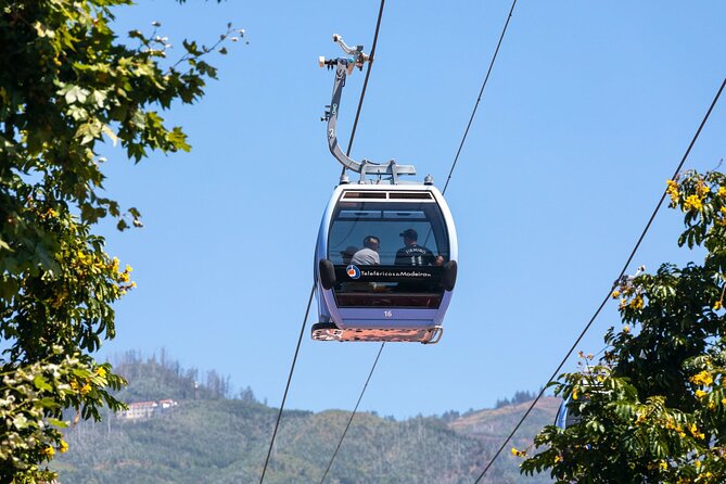 Monte Palace Tropical Garden tour with Cable Car - The Optional Toboggan Ride Down: Thrill Choice, Extra Cost, Cash Reality