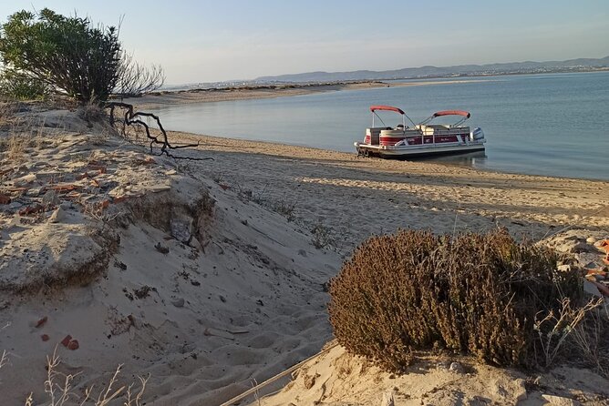Nature Catamaran Tour from Faro - A 1-Hour Catamaran Taste of Ria Formosa From Faro