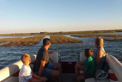 Nature Catamaran Tour from Faro - The Ria Formosa Natural Park Stop: Birds, Tides, and a Guide’s Read