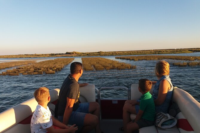 Nature Catamaran Tour from Faro - The Ria Formosa Natural Park Stop: Birds, Tides, and a Guide’s Read