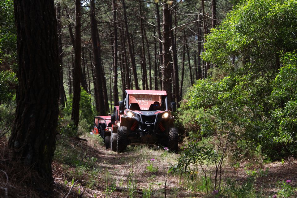 Nazaré: 4x4 Buggy Tour with Guide - Safety and Skills: The Driving License Rule You Can’t Ignore