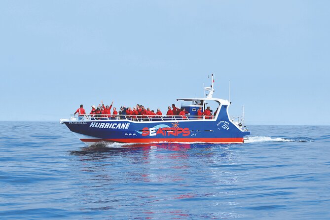 NEW Lagos-Watching Dolphins and Benagil Cave with Biologists - Key Things to Know Before You Go