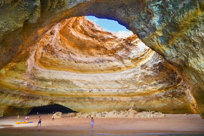 NEW Lagos-Watching Dolphins and Benagil Cave with Biologists - Dolphin Watching With a Marine Biologist: What You’re Actually Learning