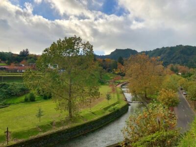 Nordeste Tour from Ponta Delgada - Gorreana Tea Factory: the calm reset before the scenery