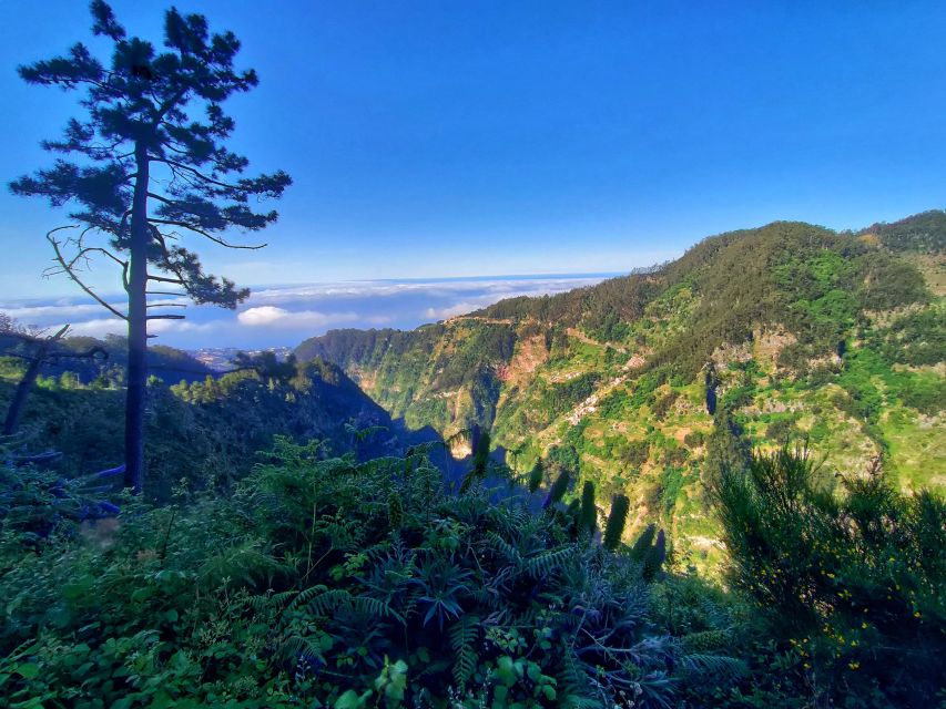 Nun's Valley - Curral das Freiras: the village stop that can feel short or long