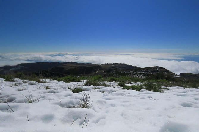 Nun's Valley Open 4X4 Tour - Meeting Point Reality: Where to Start in Funchal