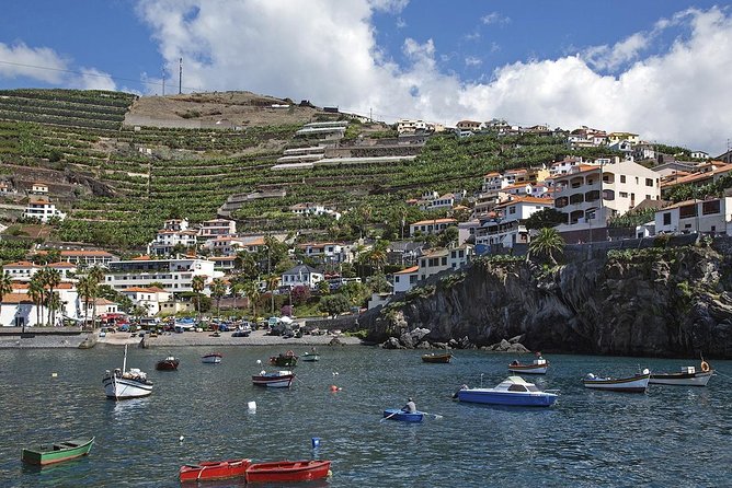 Nun's Valley & Sea Cliff - Half Day - Shared Tour - How this half-day tour really works in Madeira