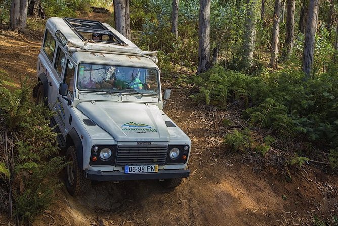 Nun's Valley & Sea Cliff - Half Day - Shared Tour - The Jeep ride: what the open-roof 4x4 adds to the experience